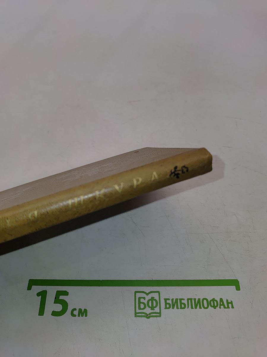 Бычья шкура. Испанская поэзия в переводах