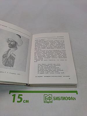 Домик Лермонтова. Путеводитель по литературно-мемориальному государственному музею