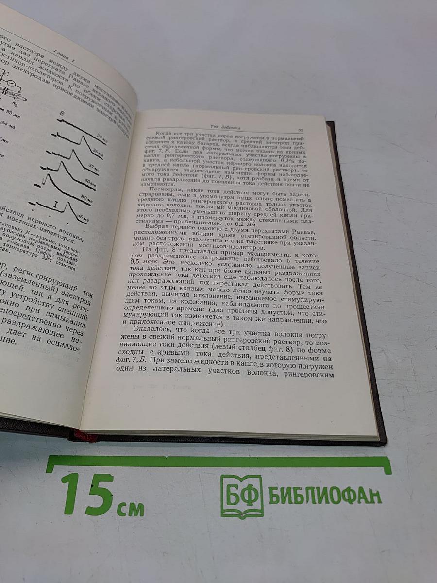 Проведение нервного импульса