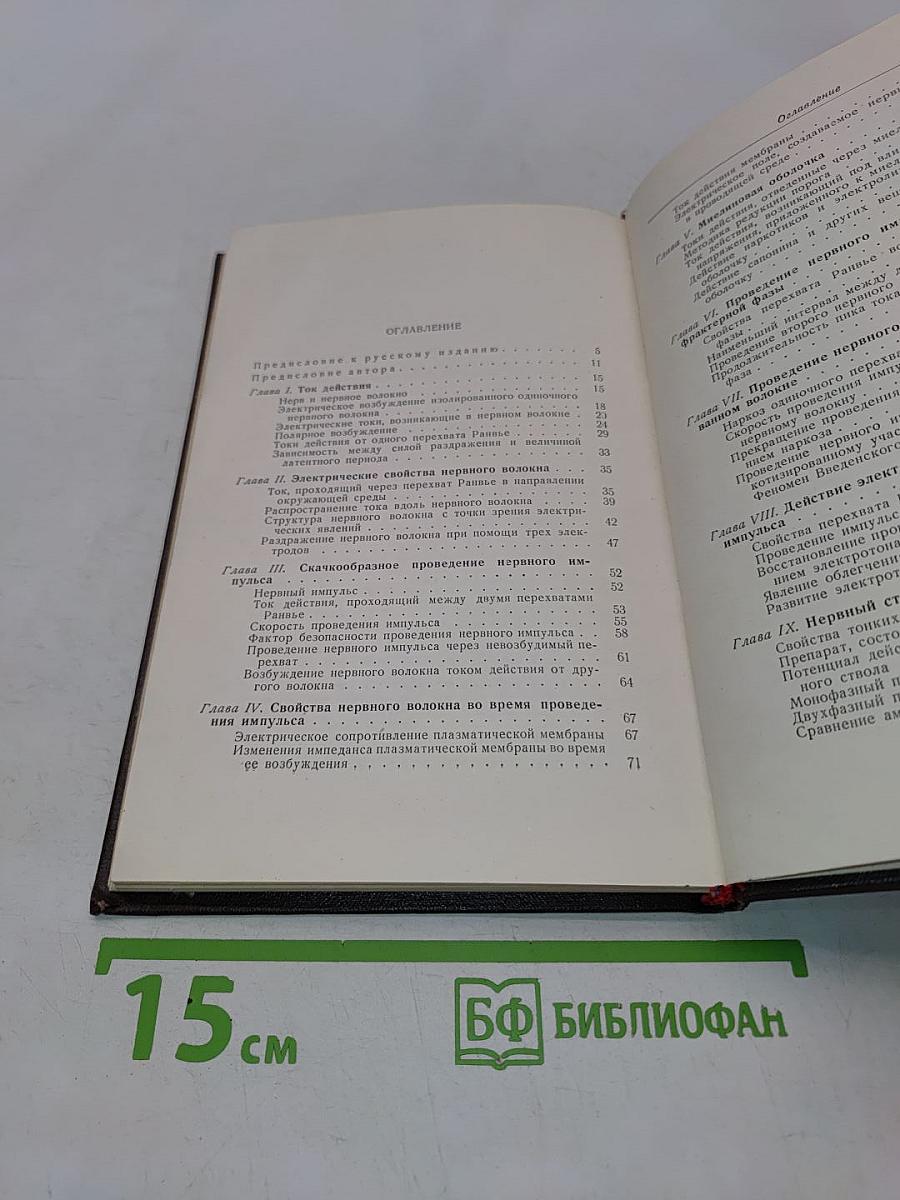 Проведение нервного импульса