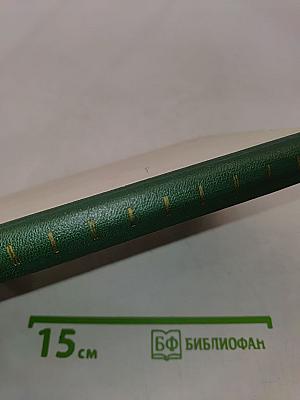 Болезни сердечно-сосудистой системы в среднем и пожилом возрасте