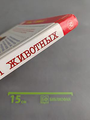 Детская энциклопедия животных. Развивающая и обучающая книга для детей и родителей