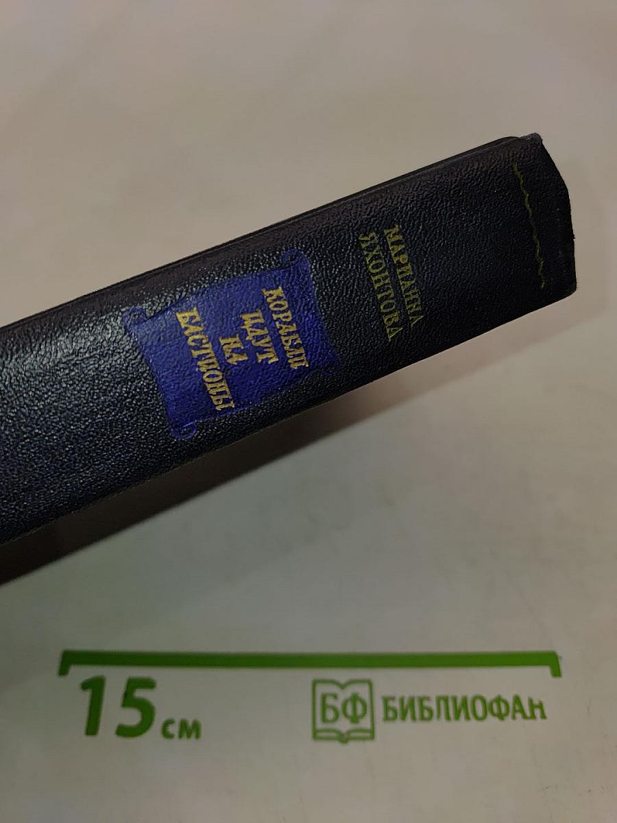 Корабли идут на бастионы