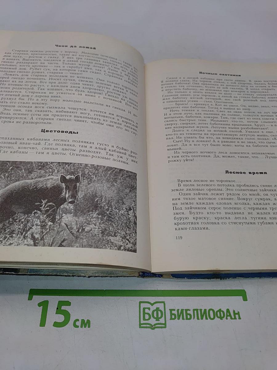 Земля над облаками