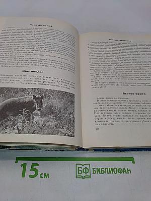 Земля над облаками