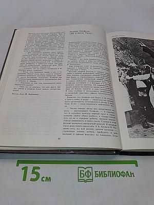 Экран 81-82