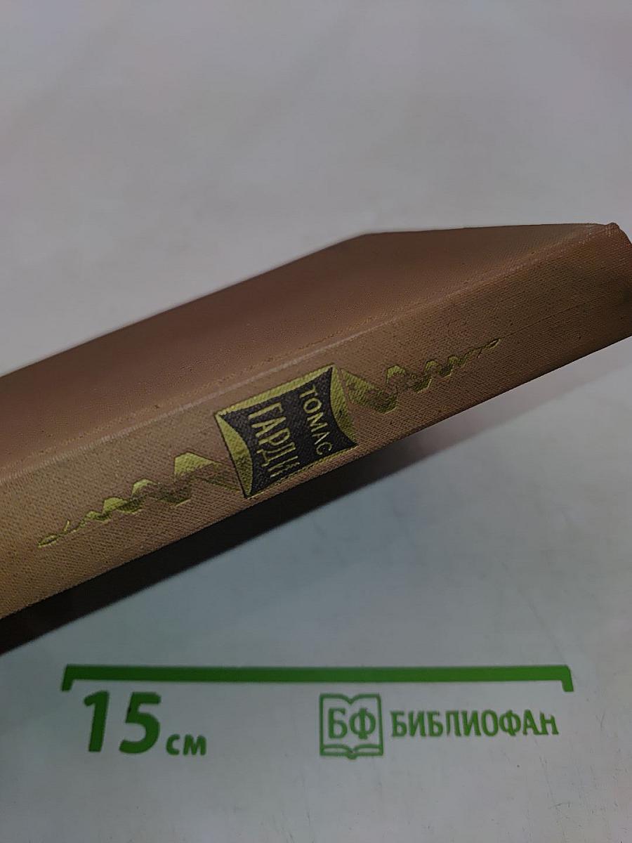 Мэр Кэстербриджа