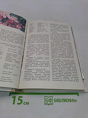 Клематисы