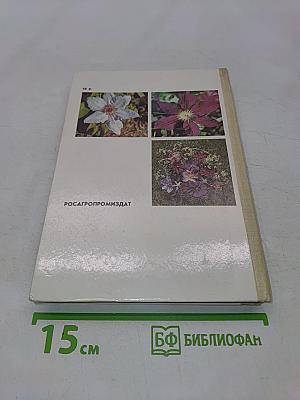 Клематисы
