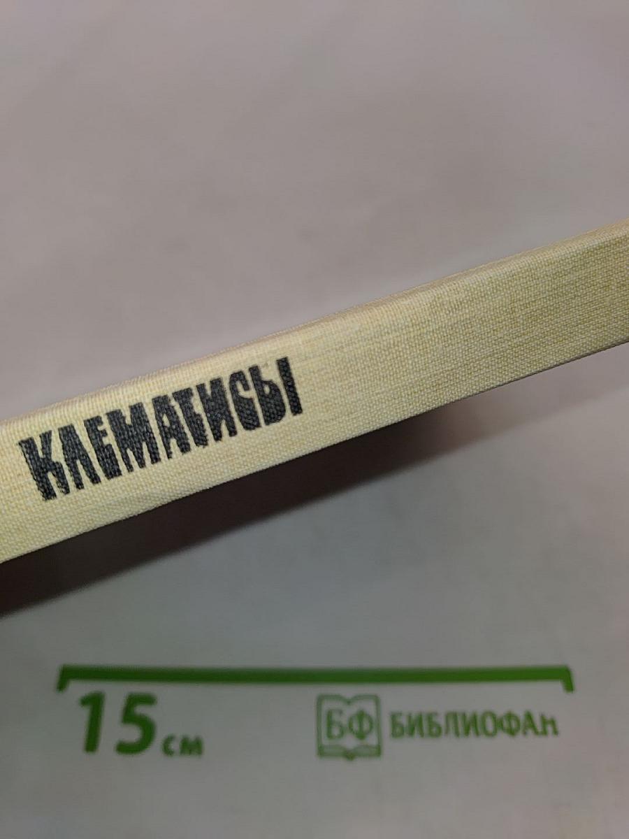 Клематисы