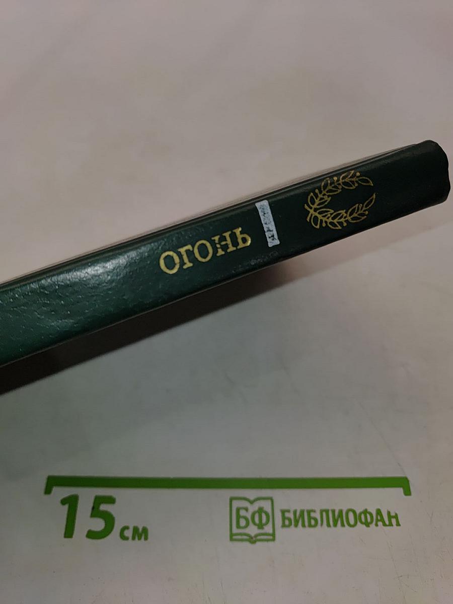 Огонь (Дневник взвода)