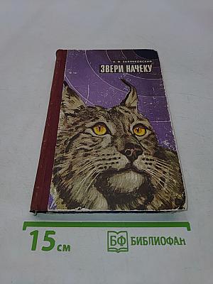 Звери начеку