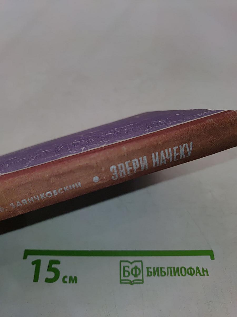 Звери начеку