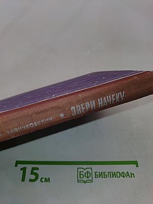 Звери начеку