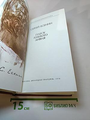 Плеск голубого ливня