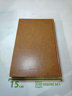 Плеск голубого ливня