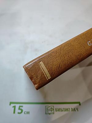 Плеск голубого ливня