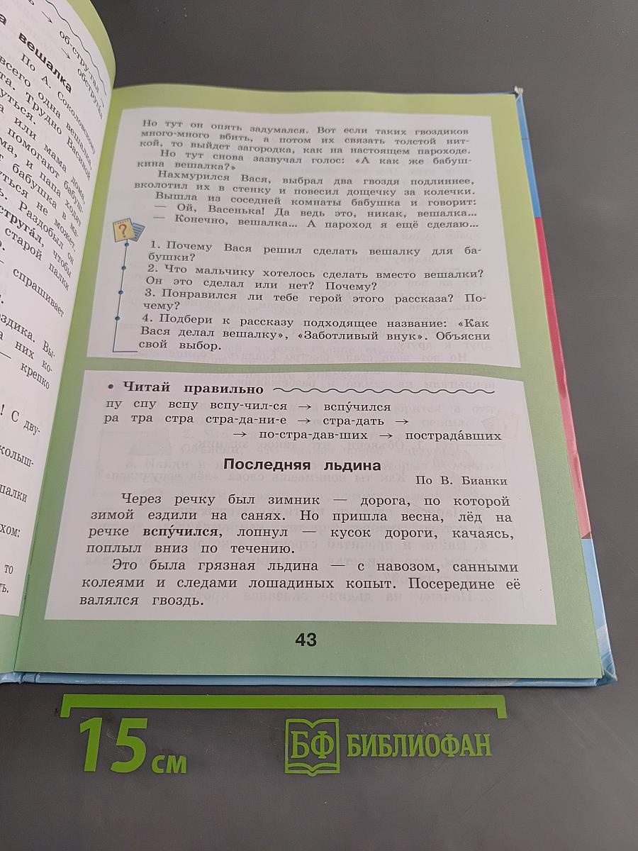 Чтение. 4 класс. Учебник для специальных (коррекционных) образовательных учреждений VIII вида. Часть 2