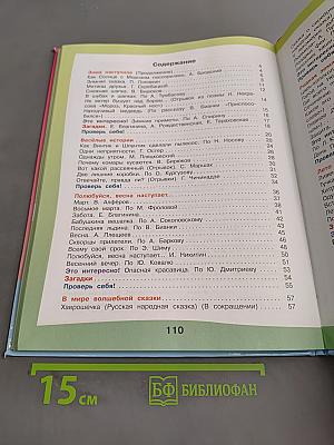 Чтение. 4 класс. Учебник для специальных (коррекционных) образовательных учреждений VIII вида. Часть 2