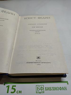Необыкновенное лето. Роман