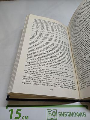 Необыкновенное лето. Роман