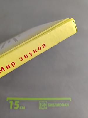Произношение. Мир звуков. Учебник для 2 класса специальных (коррекционных) школ V вида