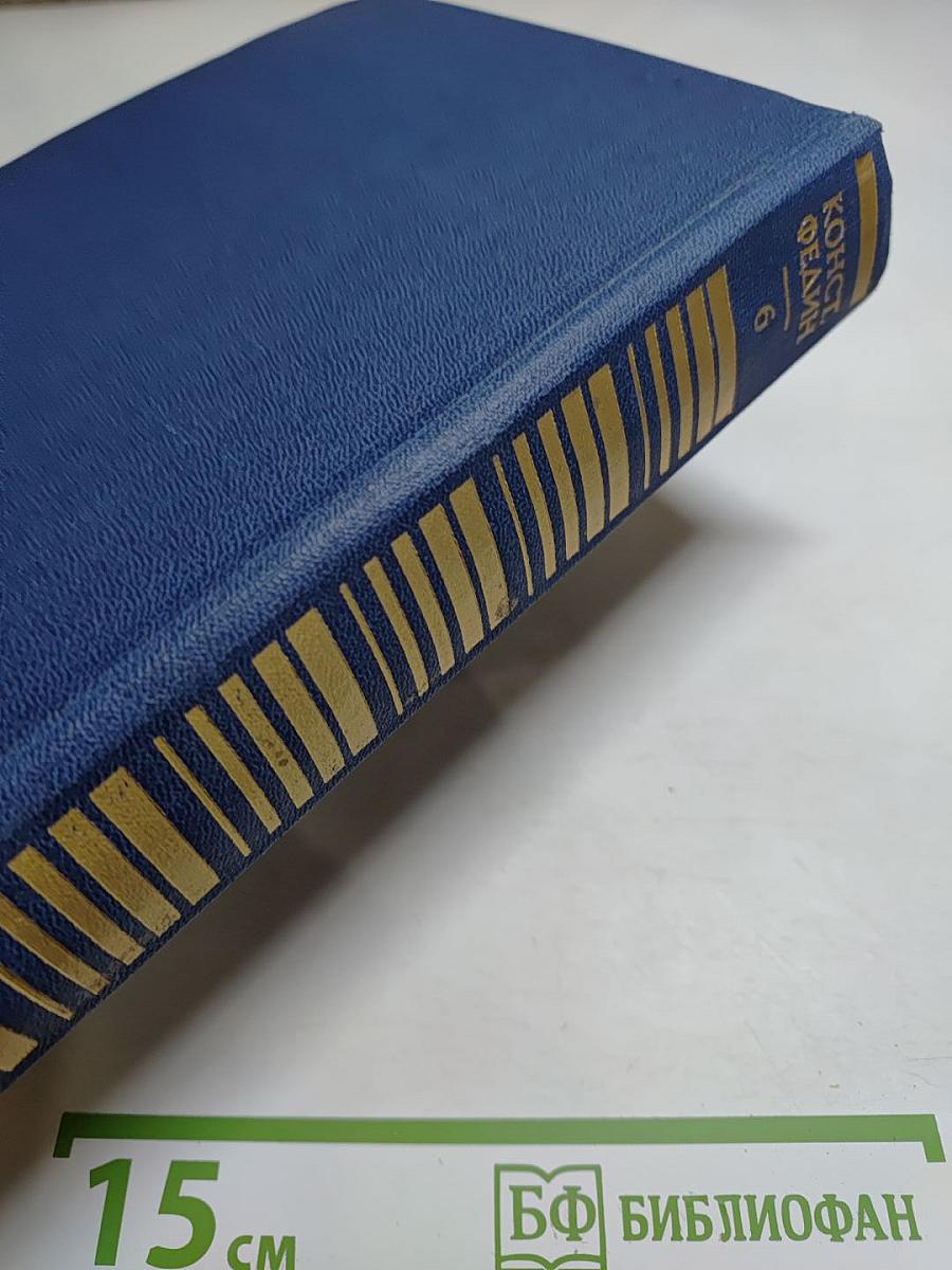 Необыкновенное лето. Роман