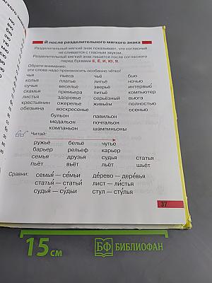 Произношение. Мир звуков. Учебник для специальных (коррекционных) школ V вида. 2 класс