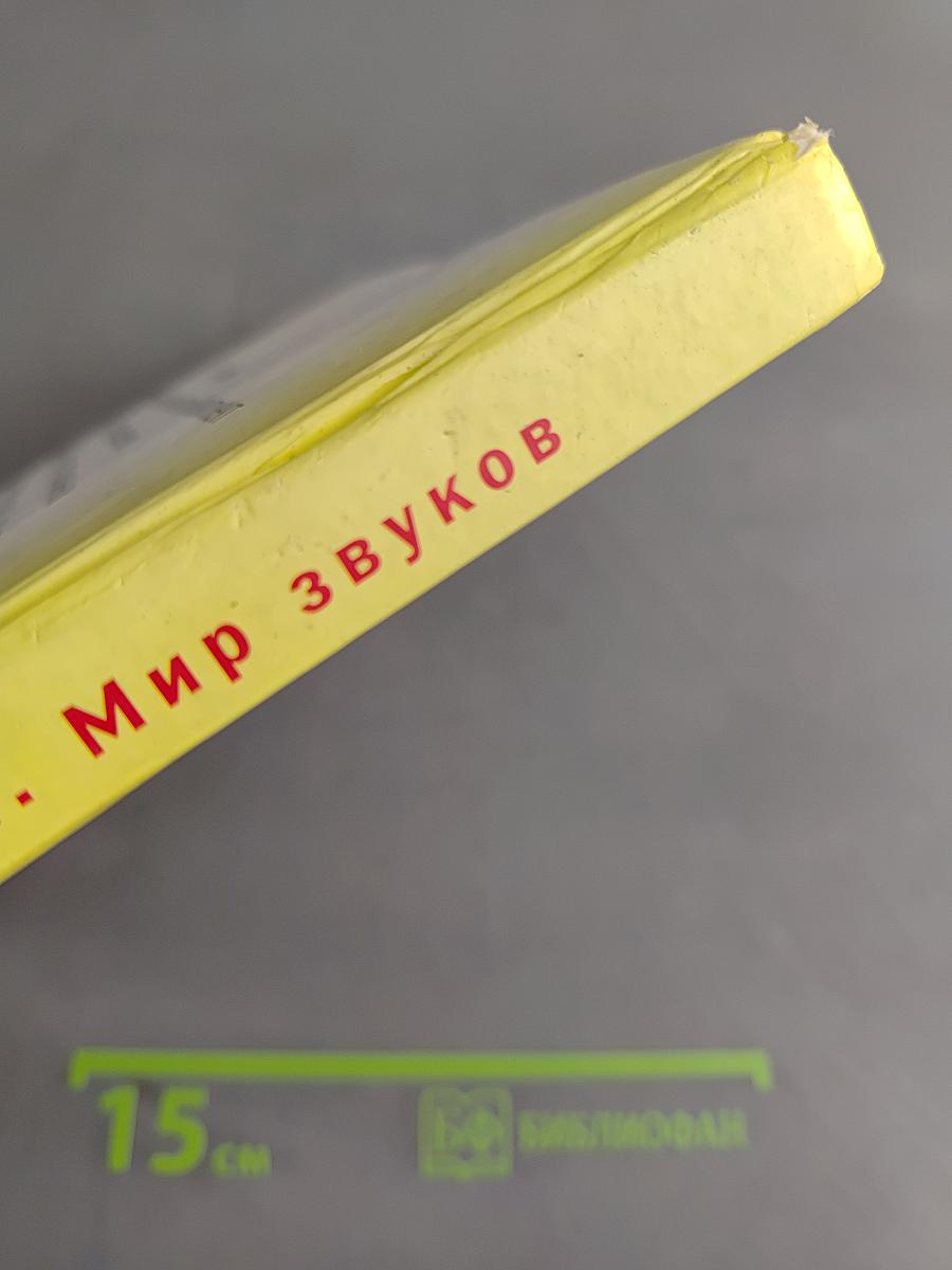 Произношение. Мир звуков. Учебник для специальных (коррекционных) школ V вида. 2 класс