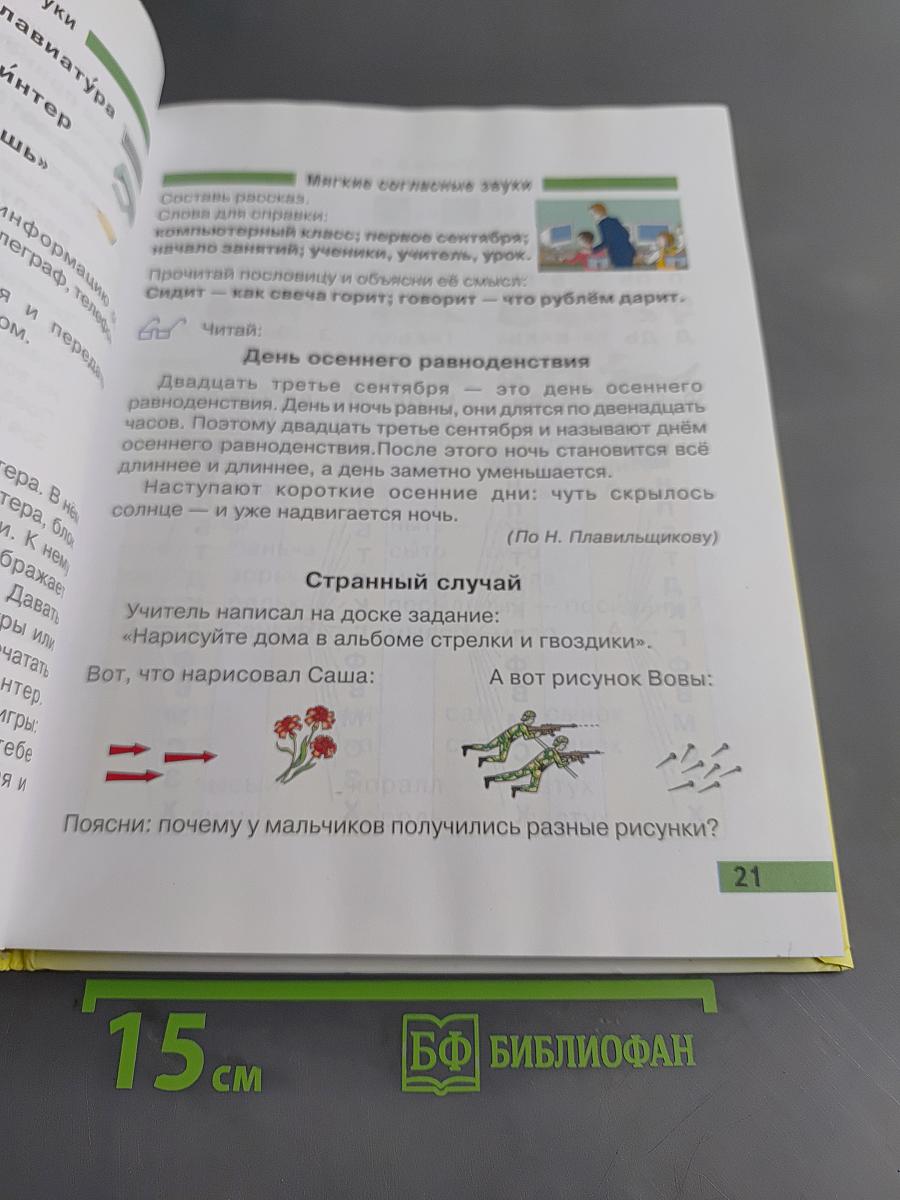 Произношение. Мир звуков. Учебник для специальных (коррекционных) школ V вида. 2 класс