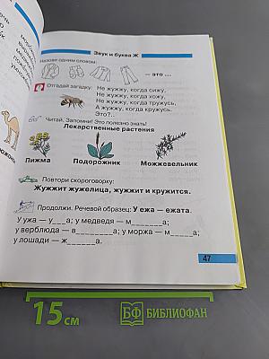Произношение. Мир звуков. Учебник для 2 класса специальных (коррекционных) школ V вида