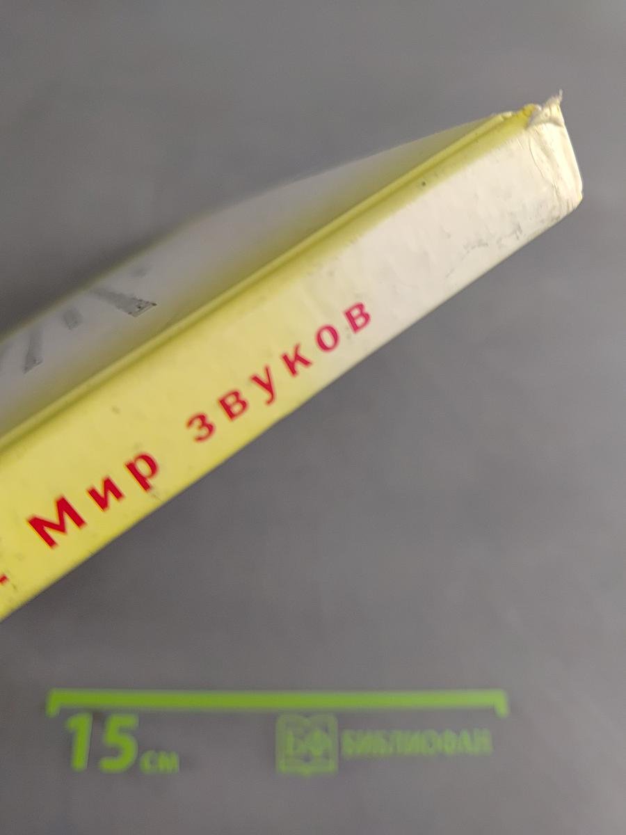 Произношение. Мир звуков. Учебник для 2 класса специальных (коррекционных) школ V вида