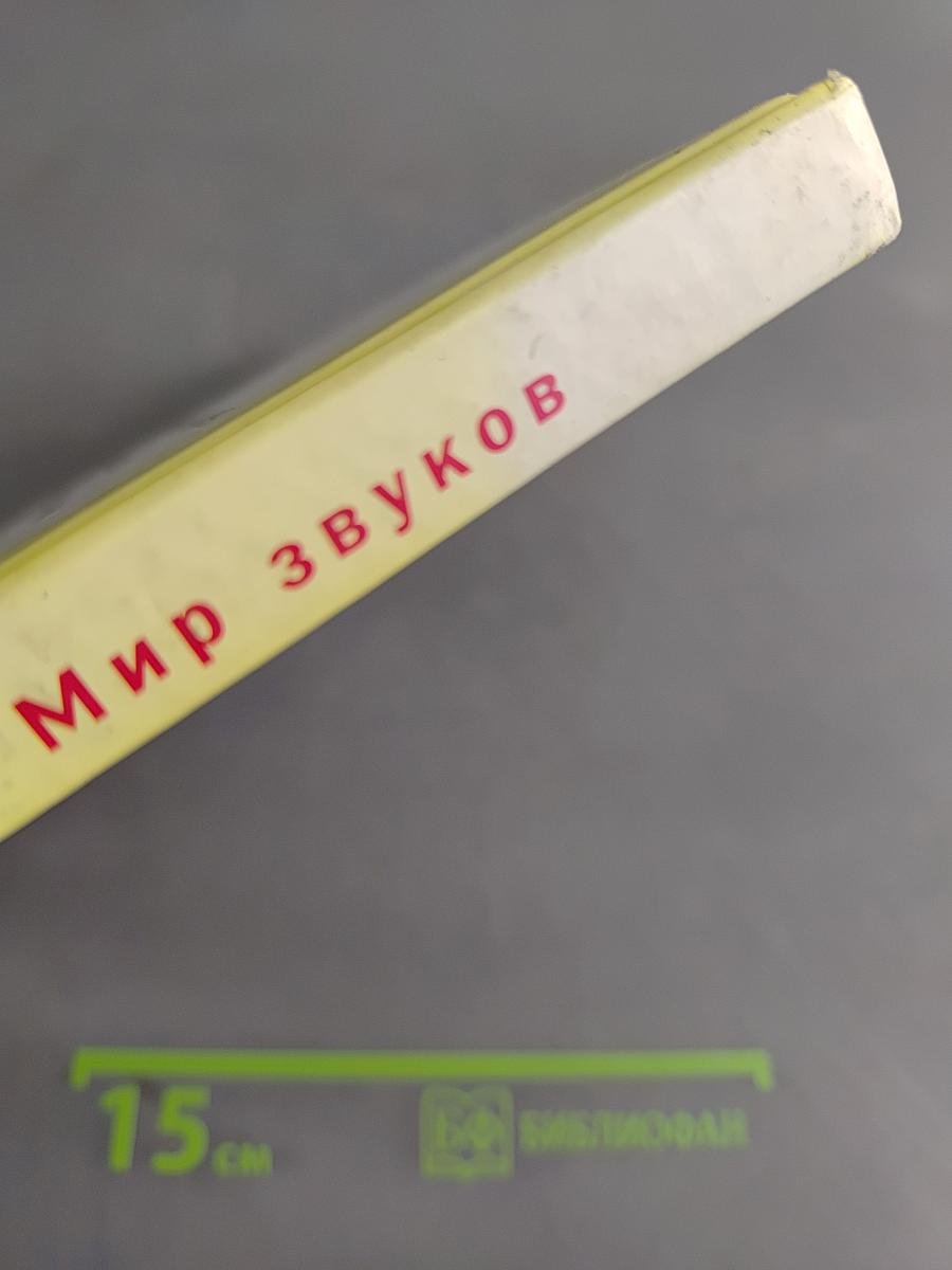 Произношение. Мир звуков. Учебник для специальных (коррекционных) школ V вида. 2 класс
