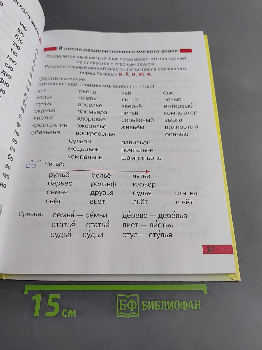 Произношение. Мир звуков. Учебник для 2 класса специальных (коррекционных) школ V вида