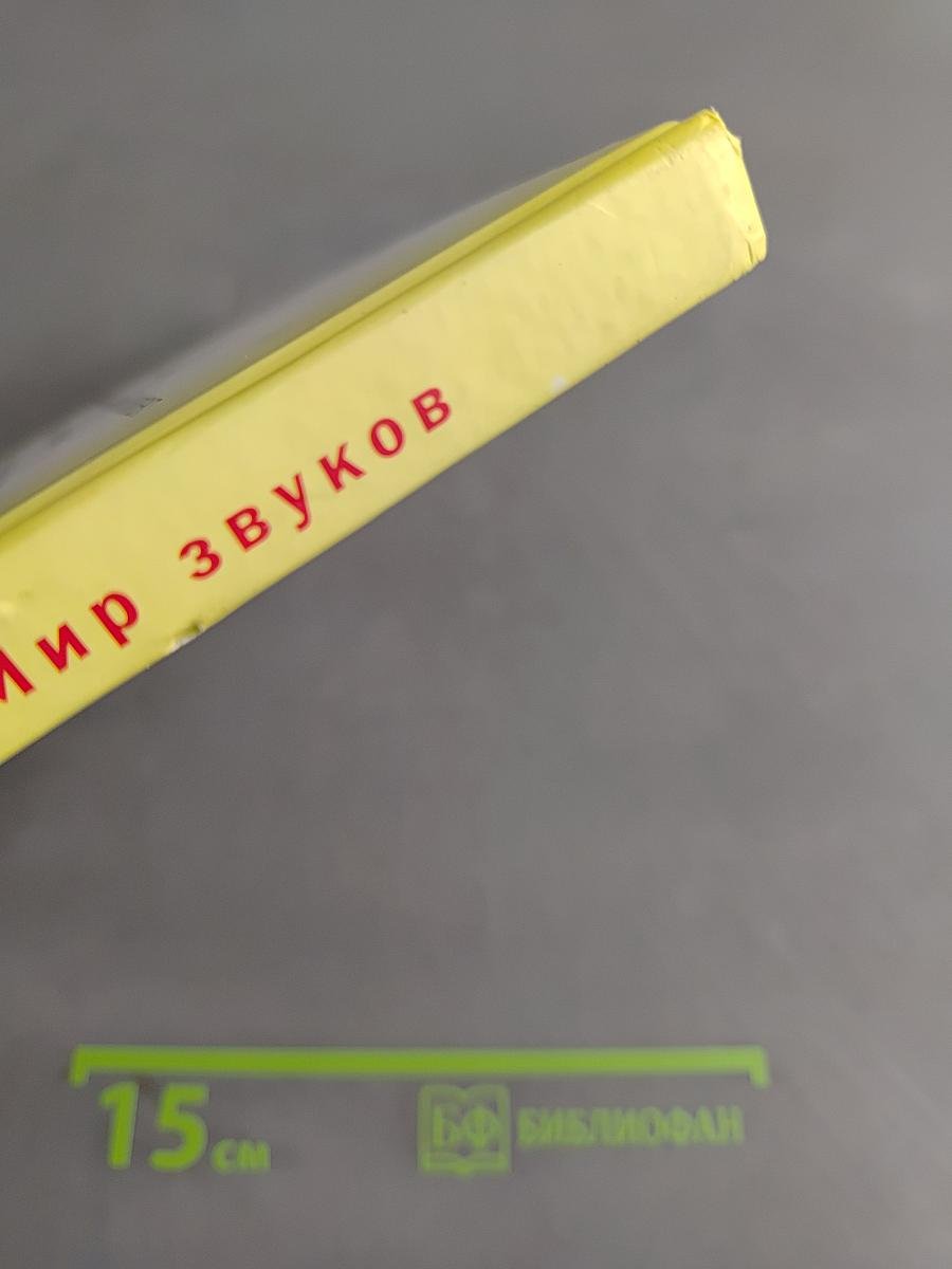 Произношение. Мир звуков. Учебник для 2 класса специальных (коррекционных) школ V вида