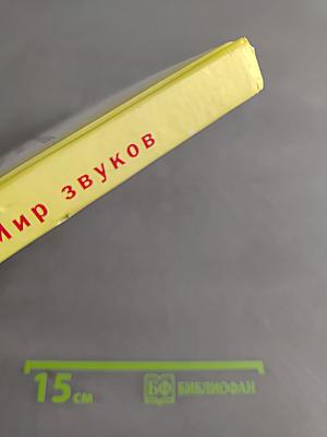 Произношение. Мир звуков. Учебник для 2 класса специальных (коррекционных) школ V вида