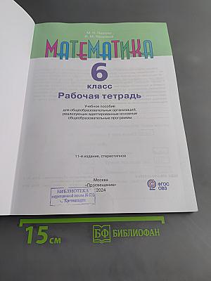 Математика. Рабочая тетрадь. 6 класс