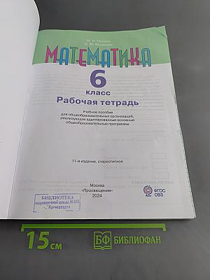 Математика. Рабочая тетрадь. 6 класс