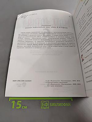 Математика. Рабочая тетрадь. 6 класс