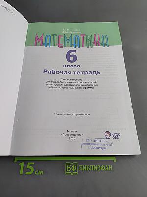 Математика. Рабочая тетрадь. 6 класс