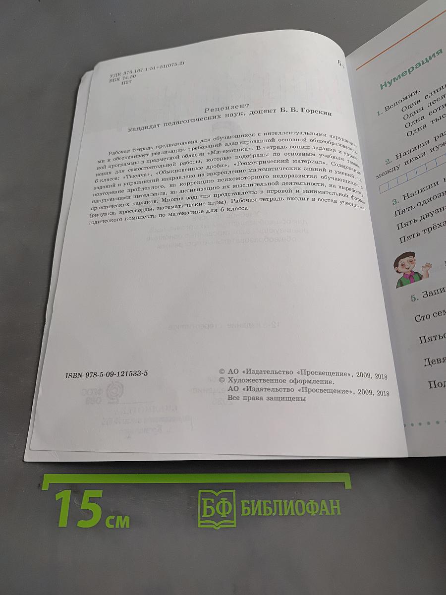 Математика. Рабочая тетрадь. 6 класс