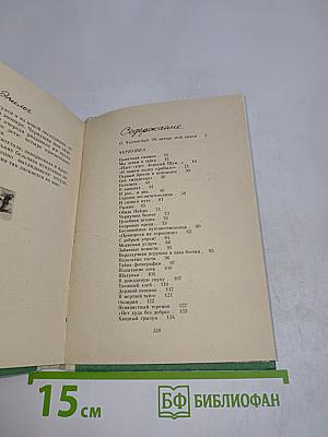 Чернушка