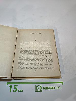 Добролюбов в Петербурге