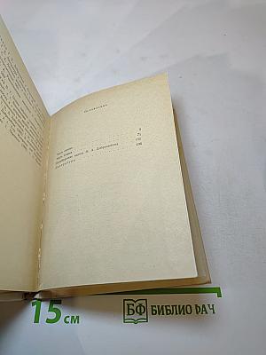 Добролюбов в Петербурге