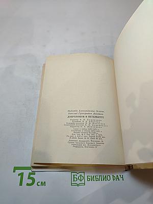 Добролюбов в Петербурге