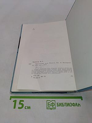 Присутствие духа