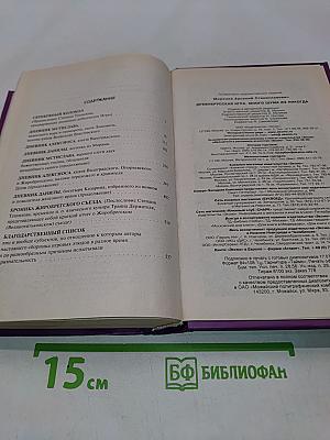 Древнерусская игра. Много шума из никогда