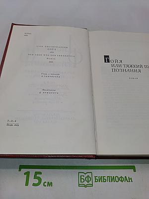 Гойя, или Тяжкий путь познания