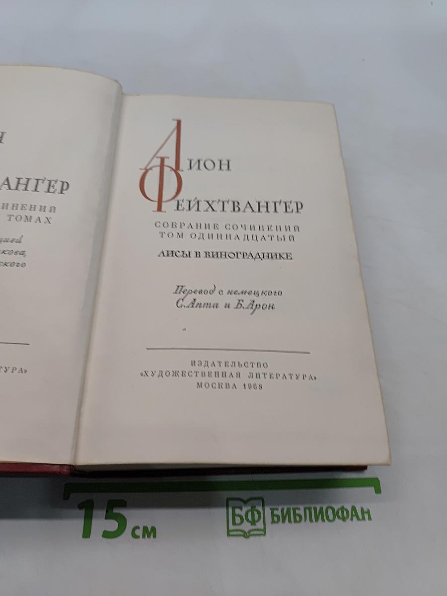 Лисы в винограднике