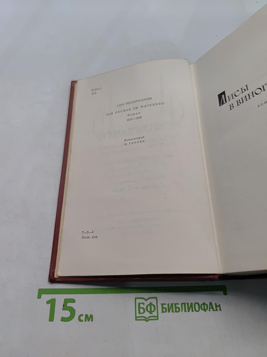 Лисы в винограднике